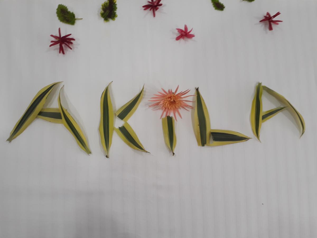Akila Holiday Resort Хабарана Экстерьер фото